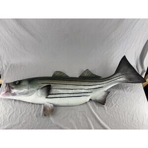 41 Inch Striped Bass Wall Mount – Fishing Trophy Replica Nautical Wall Decor